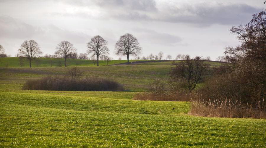 Meilleures offres de location de voitures à Schwerin